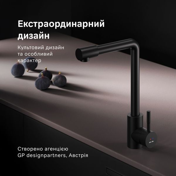 Змішувач для кухні з L-подібним виливом, EcoStart AM.PM X-Joy S, чорний F85B05022 F85B05022 фото